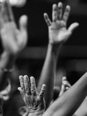 Meet your Posher, Darlene